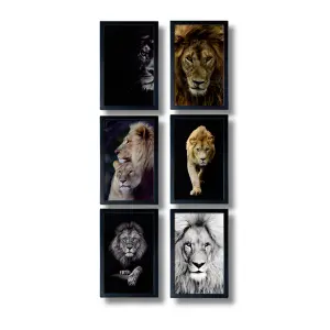 Quadros Leão Laqueadas 2cm Medidas 30x40cm Ref. 841