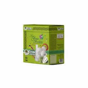 Caixa 5 litros – 4 kg Creme de Papaia Fruta Brasileira