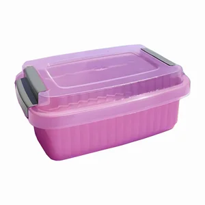 Organizador Com Trava 1,5L Color Tampa Transparente PlasMotta Ref. 5125