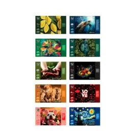 SACOLA RETORNÁVEL P2 SEU LAR SORTIDAS