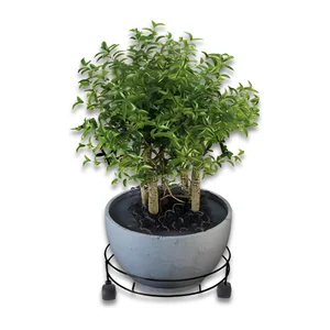 Suporte Para Botijão de Gás e Vaso Preto Linha Organizado Azzo