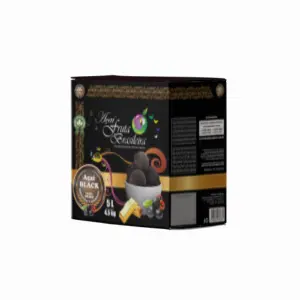 Caixa 5 litros – 4,5 kg Açaí Black Fruta Brasileira