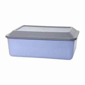 Conservadora 4L Color Tampa Cinza PlasMotta Ref. 85C