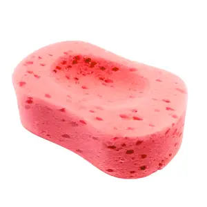 Esponja Saboneteira Ref. 946 Prolar
