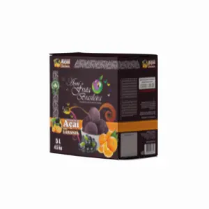Caixa 5 litros – 4,5 kg Açaí Laranja Fruta Brasileira