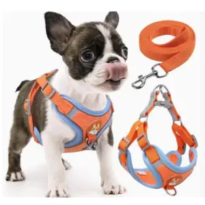 GUIA DE PETS E PEITORAL S-M-XL EM4125