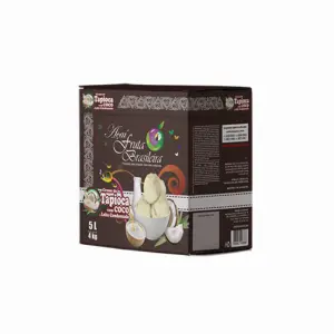 Caixa 5 litros – 4 kg Creme de Tapioca com Coco e Leite Condensado Fruta Brasileira