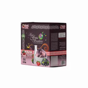 Caixa 5 litros – 4,3 kg Açaí com Iogurte de Morango Fruta Brasileira