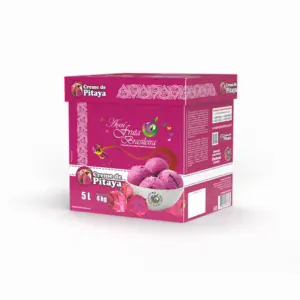 Caixa 5 litros – 4 kg Creme de Pitaya Fruta Brasileira