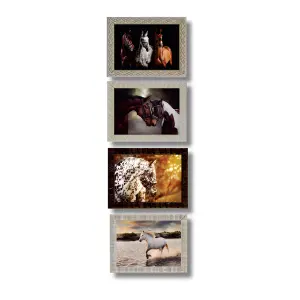 Quadros Cavalos FM 2cm Medidas 30x40cm Ref, 776