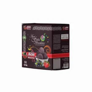 Caixa 5 litros – 4,5 kg Açaí Morango Fruta Brasileira