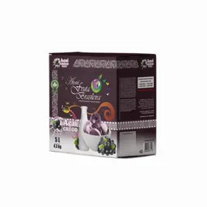 Caixa 5 litros – 4,3 kg Açaí Grego Fruta Brasileira