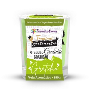 Vela Sentimentos 180 G - Gratidão