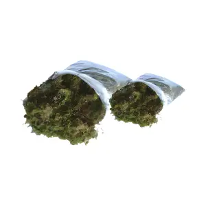 Musgo Verde Desidratado Ref. 964 e 965 - Elis Artesanatos