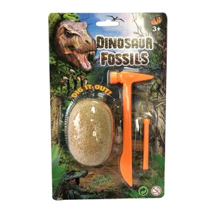 1193 - Fossil Brilha