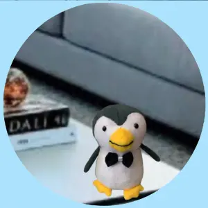PESO PARA PORTA PINGUIM 10X17CM