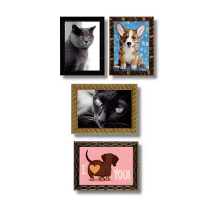 Quadros Pets FM 2cm Medidas 30x40cm Ref. 828