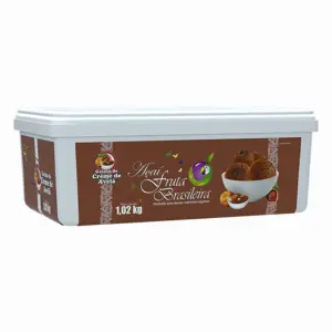 Pote 1,02 kg Gelato de Creme de Avelã C/4 un Fruta Brasileira