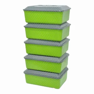 Kit 5 Pçs Conservadora 4L PlasMotta Ref. 650c